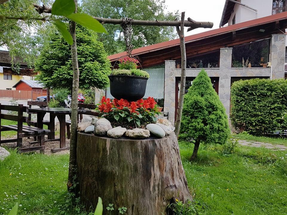 Pensiunea Liziera Busteni Exterior photo